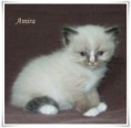 /album/amira/amira-5-hetes-006-jpg/